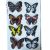 Csillogós színes pillangók 3D matrica, 8 db-os csomag (3)