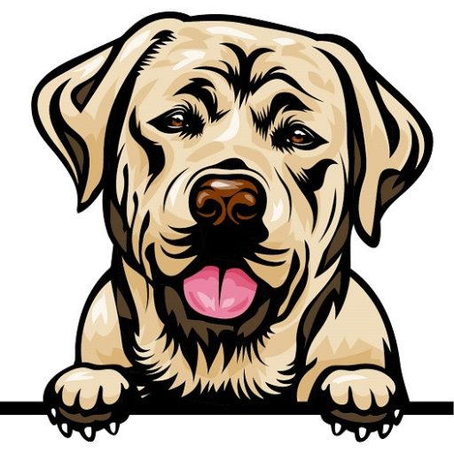 Labrador rajzos autómatrica