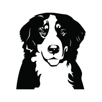 Berrnáthegyi autómatrica