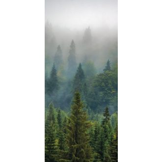 Ködös fenyőerdő, ablakdekor matrica 