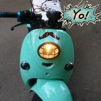 Bajusz, motormatrica