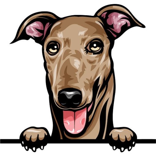 Angol Agár rajzos autómatrica