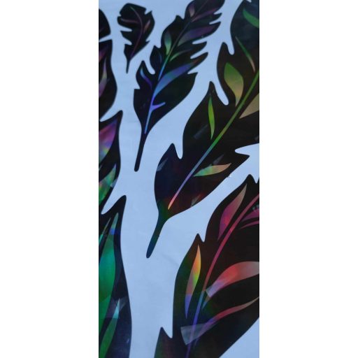 Tollak, hologrammos falmatrica