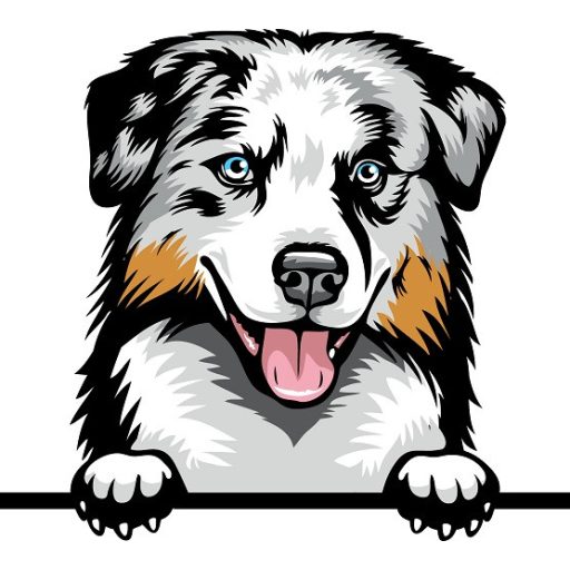 Ausztrál Juhászkutya rajzos autómatrica