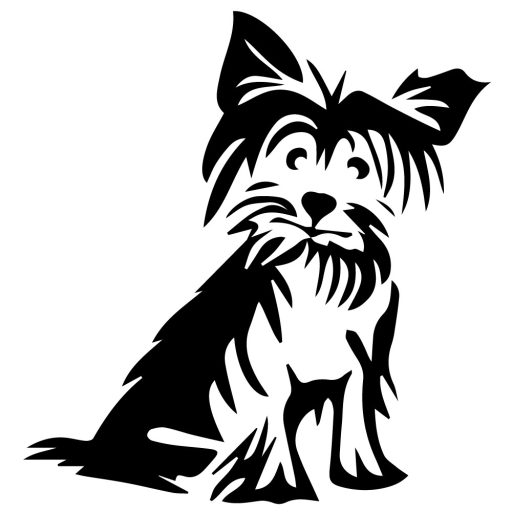 Yorki kutyus, autómatrica