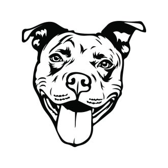 Pit Bull autómatrica