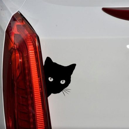 Kukucskáló cica, autómatrica a Dekormatricák Autómatrica Webáruházban