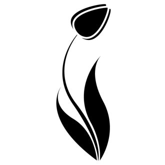 Tulipán, falmatrica