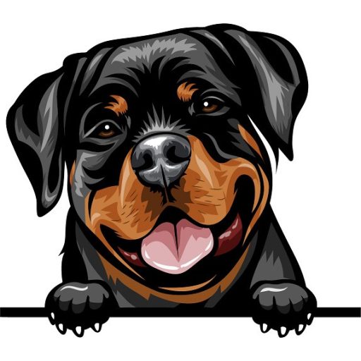 Rottweiler rajzos autómatrica