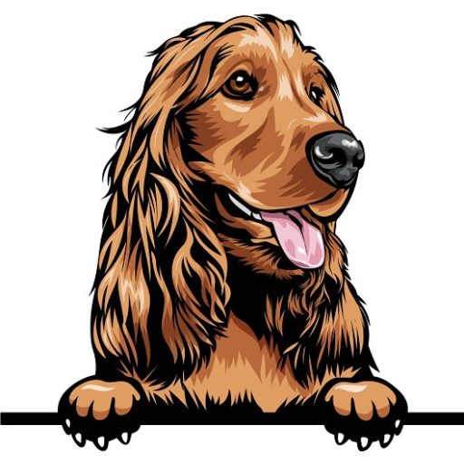 Cocker Spániel rajzos autómatrica