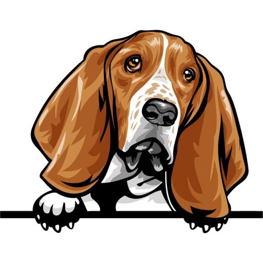 Basset Hound rajzos autómatrica
