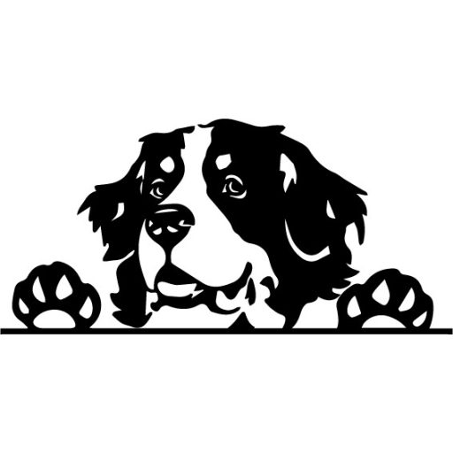 Berni pásztor autómatrica