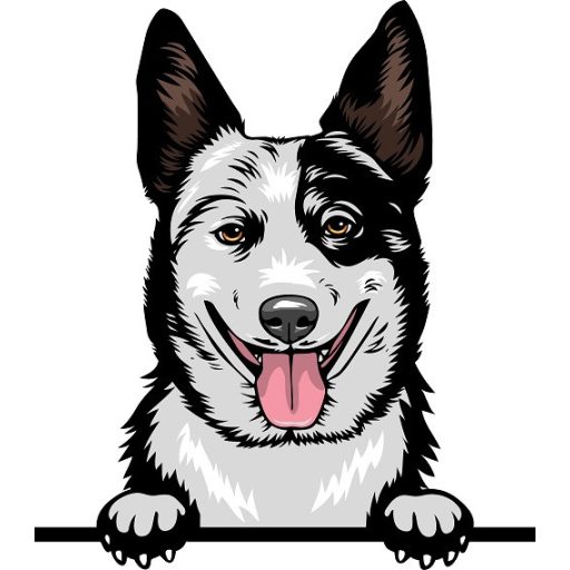 Ausztrál Pásztorkutya rajzos autómatrica