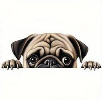 Mopsz, vasalható ruhamatrica