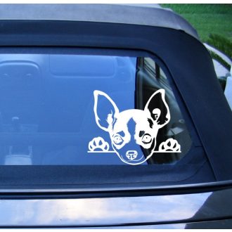 Chihuahua autómatrica