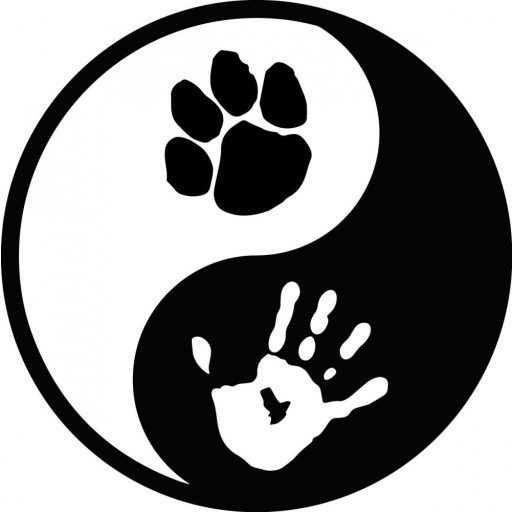 Ember és kutya autómatrica