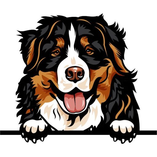 Berni Pásztorkutya rajzos autómatrica