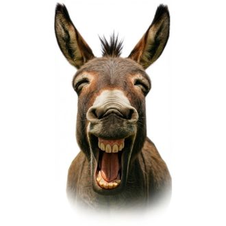 Nyuszi virágcsokorral, sztatikus ablakmatrica