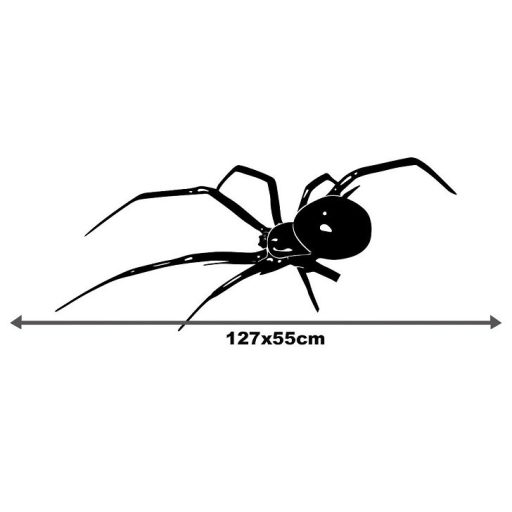 Spider, autómatrica