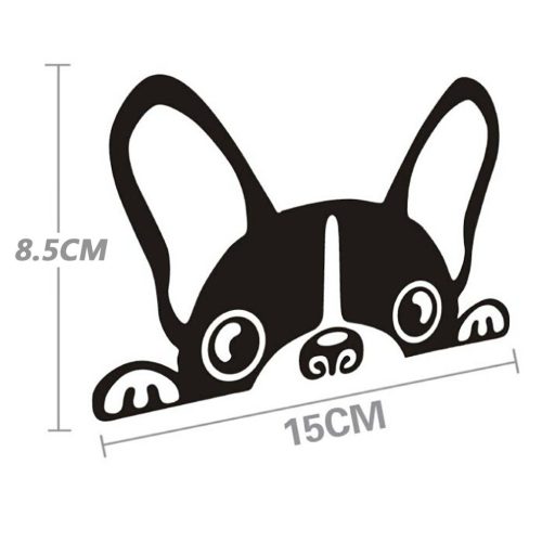 Kutyus, autómatrica