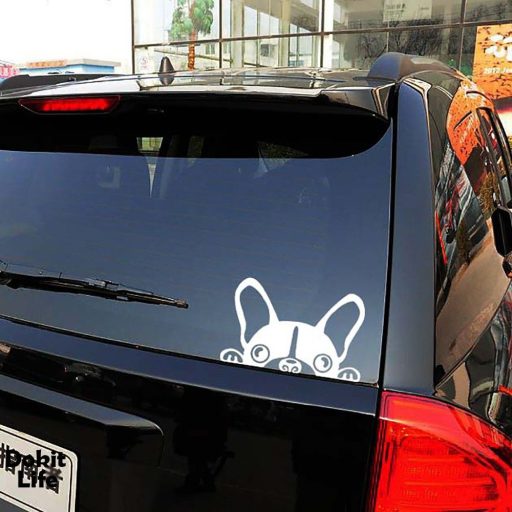 Kutyus, autómatrica