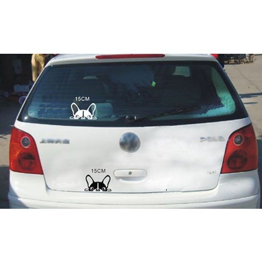 Kutyus, autómatrica