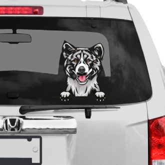 Amerikai Akita rajzos autómatrica