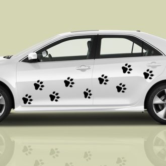 Cicatappancsok, autómatrica