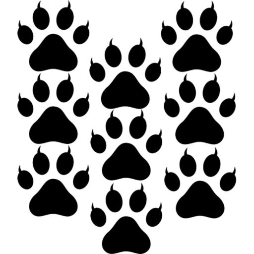 Cicatappancsok, autómatrica