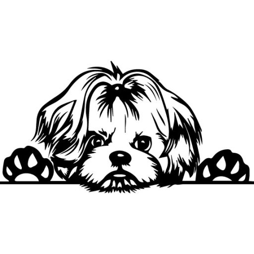 Shih-Tzu autómatrica