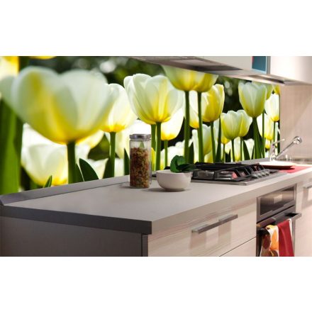 Fehér tulipánok, konyhai matrica hátfal, 180 cm