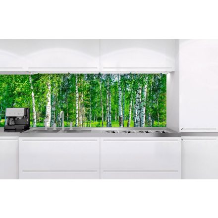 Nyírfaerdő, konyhai matrica hátfal, 180 cm