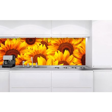Napraforgó virágok, konyhai matrica hátfal, 180 cm