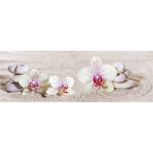 Tengerpart orchidea virágokkal, konyhai matrica hátfal, 180 cm