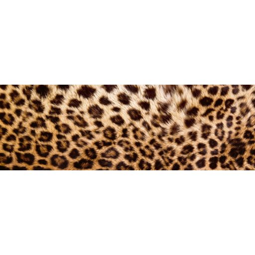Leopárd, konyhai matrica hátfal, 180 cm