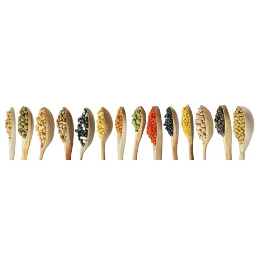 Magvak, konyhai matrica hátfal, 260 cm