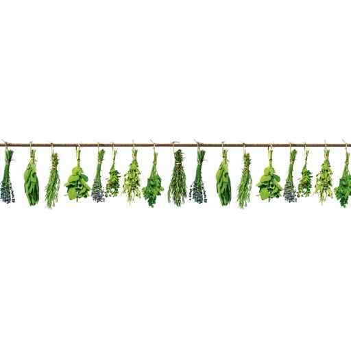 Fűszernövények, konyhai matrica hátfal, 260 cm
