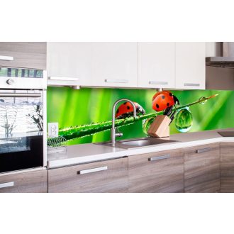 Katicabogarak, konyhai matrica hátfal, 260 cm