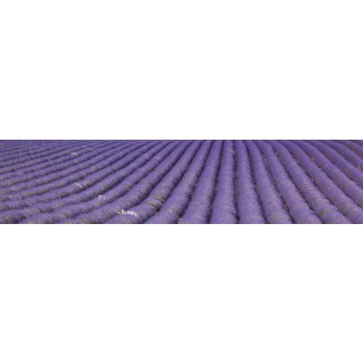 Levendulamező, konyhai matrica hátfal, 260 cm