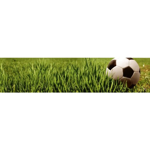 Focilabda, konyhai matrica hátfal, 260 cm