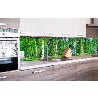 Nyírfaerdő, konyhai matrica hátfal, 260 cm