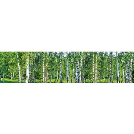 Nyírfaerdő, konyhai matrica hátfal, 260 cm