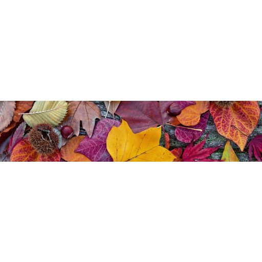 Őszi levelek és termések, konyhai matrica hátfal, 260 cm