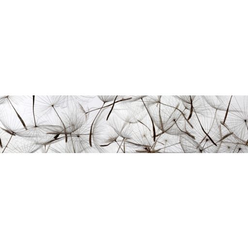 Fehér pitypang, konyhai matrica hátfal, 260 cm