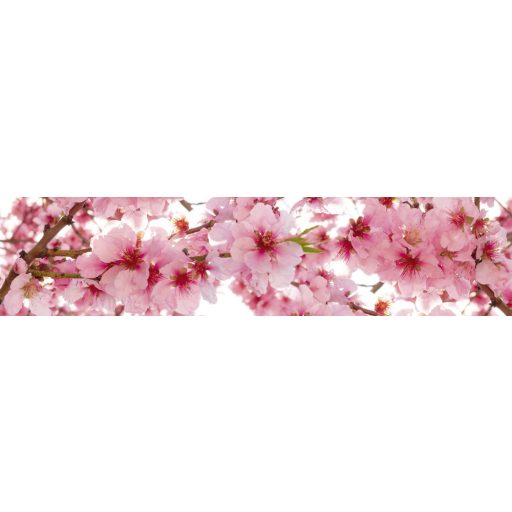 Cseresznyevirágok, konyhai matrica hátfal, 260 cm