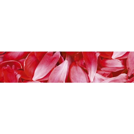 Virágszirmok, konyhai matrica hátfal, 260 cm