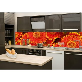 Piros virágok, konyhai matrica hátfal, 260 cm