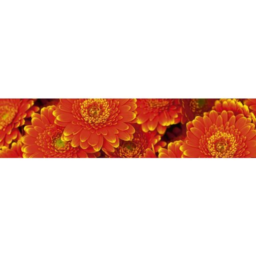 Piros virágok, konyhai matrica hátfal, 260 cm