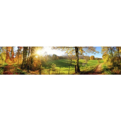 Napfényes erdei út, konyhai matrica hátfal, 260 cm
