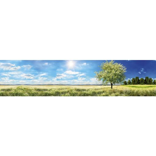 Napfényes tavaszi rét, konyhai matrica hátfal, 260 cm